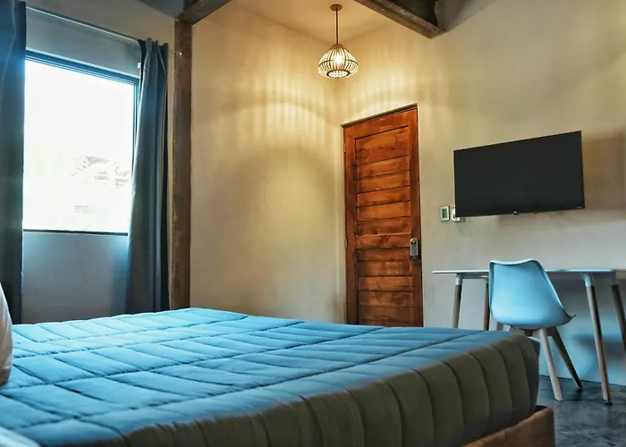 Hotel que admite mascotas: Che Puerto Escondido Hostel&Bar Adults Only